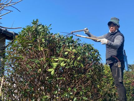 木房樹の夫婦でお伺い致します。【業界25年】一級造園技能士取得。花芽をつく剪定致します。の写真