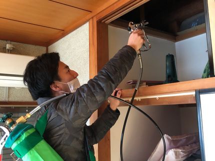 株式会社マルックスの《業界25年以上》トコジラミ ダニ ノミ駆除ならお任せ下さい!【安全な薬剤使用】の写真