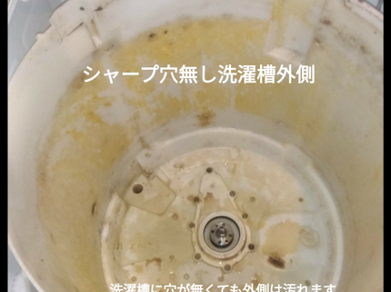 お掃除ドラゴンのお掃除ドラゴン【縦型全機種対応・ドラム式も対応【かさ上げ作業対応】 6月日程随時の写真