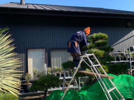 株式会社嵯峨野園の樹木の剪定!できる限りご要望に合わせて丁寧に対応致します。株式会社嵯峨野園の写真