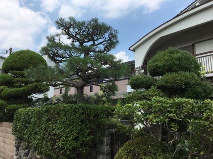 こうけんの【職歴25年】親切・丁寧に対応いたします!安心の損害保険加入済み◎の写真