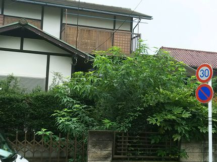 野村解体、の【女性スタッフ同行可能】作業外注一切なし!営業時間外も相談OK◉の写真