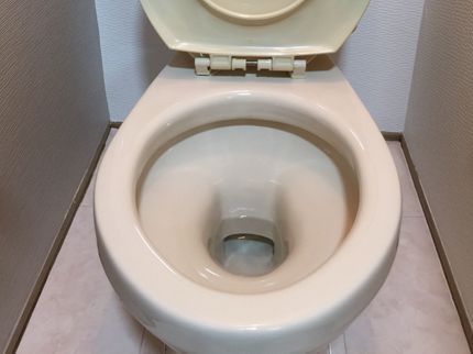 掃法皆伝の金運アップ!トイレリフレッシュ清掃の写真