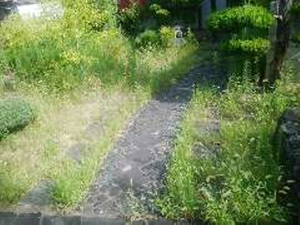 慶三庭園の根から抜いて草のないお庭にしませんか?いつも綺麗なお庭を目指してお手伝い致しますの写真