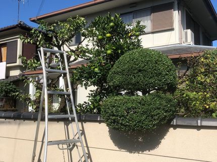 神谷造園の<業歴32年のベテランスタッフが出向>京都府から伺います!駐車場代は当社負担◎の写真