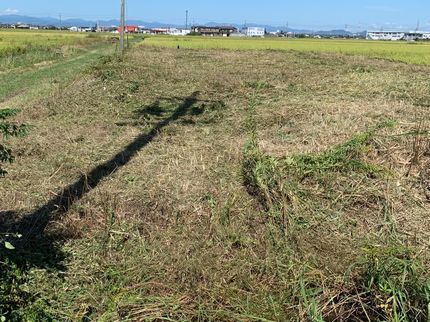 株式会社 川瀬工務店の機械刈り(人力刈り、重機刈り)の写真