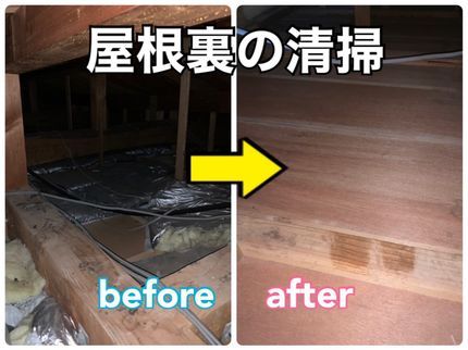 クリーンライフの「小さなお子様」や「ペット」にも安全な薬剤を使用します。お気軽にご相談ください。の写真