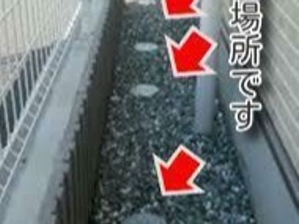 アイビーフューチャーの水回りのお掃除1ヶ所から有難くお受けいたします。点検・見積無料の写真