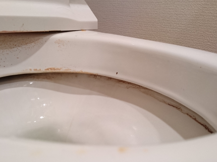 firstの<作業外注なし>お客様の目線で丁寧に作業いたします!の写真