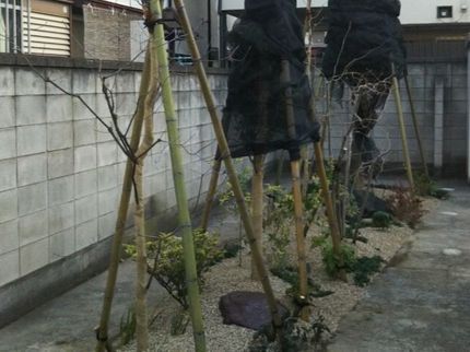 栽ちまり花園の★お庭のリノベーション、一万円から承り◎お祝い記念樹◎土日祝日営業◎24h受付の写真