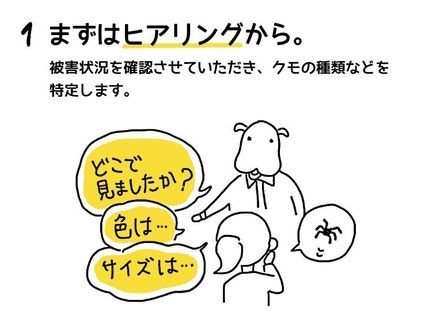駆除コッコの私がクモ駆除・予防します【明瞭!コミコミ料金 例:100平米→36,000円】の写真