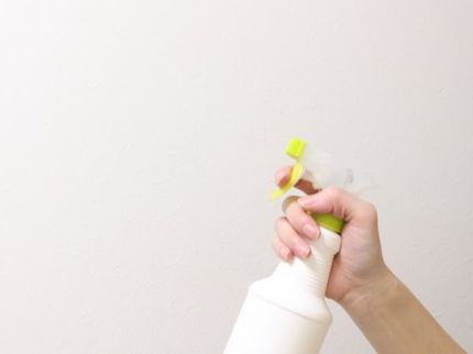合同会社セキレイのクロス・壁紙のプロが綺麗に丁寧にクリーニング致します!の写真