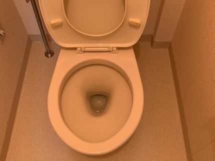 レアル・イノベーションのトイレクリーニングの写真