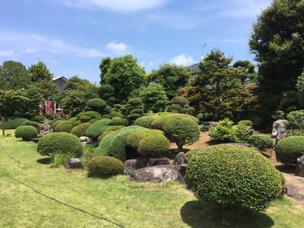 工房everGreen株式会社の【業歴22年!】女性スタッフ同行可!刈り込みにも技があるのです。の写真