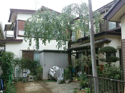 彩乃庭の【業歴20年】木の特性を活かした剪定を行います!の写真