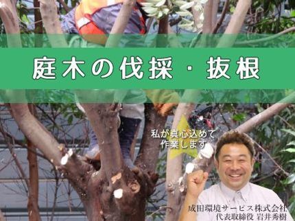 成田環境サービスの【1本〜OK】お庭の樹木の伐採・抜根でスッキリ綺麗に!の写真