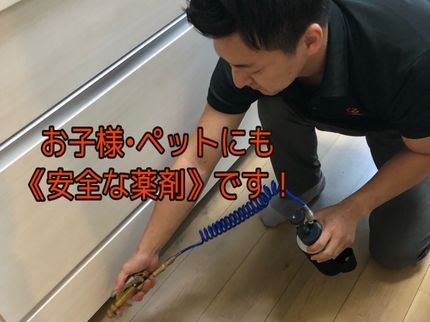 株式会社マルックスの《オススメ引越し前予防》薬剤散布•水回り•侵入口の穴埋め作業何箇所でも料金内 の写真