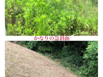 昇馬工業の誰に頼めばいいか分からない!お任せください!僕がやります!女性スタッフ同行‼︎の写真