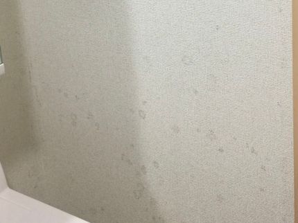 INFINIE(インフィニエ)の【本島全域対応】迅速丁寧な対応!作業前後の説明も詳しくいたします!の写真