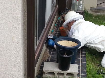 株式会社丸巻商会の☆ハチ駆除本舗☆ <ハチ専門業者です>◉損害保険1億円加入済み◉緊急対応◉親身!の写真