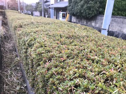 東田の駐車代金お客様負担0円◆宇陀市発◎対応地域外のご予約も相談・対応可能です!の写真