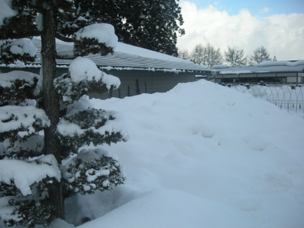 除雪屋カドワキの【山形県中心】時間や地域の相談受付可能です♪大手での経験あり!作業外注一切なし◎の写真