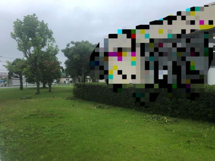 作業12月以降以降千代田緑地 日本植木協会の茨城県 創業40年の植木屋 日本植木協会理事街の便利屋ではありませんの写真