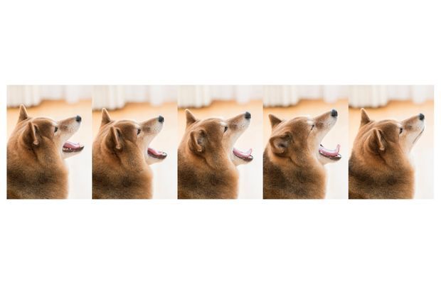 写真の撮り方・スマホでもキレイな写真
