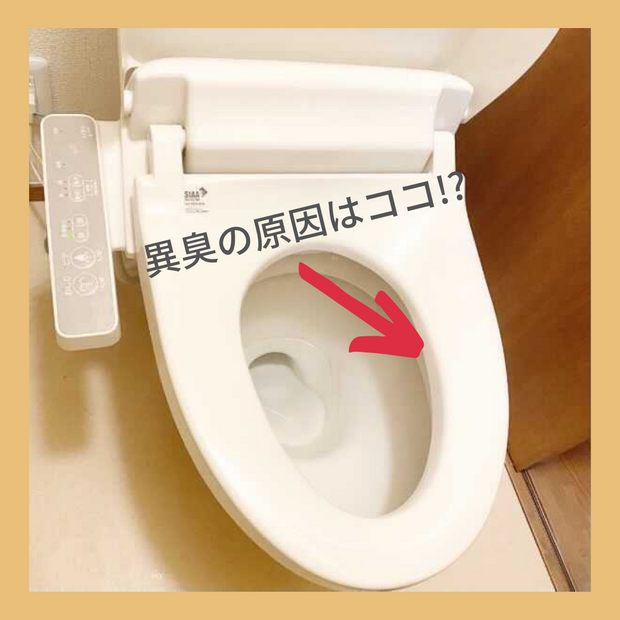 便器のふち裏