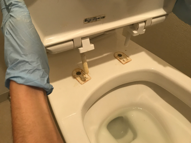 掃除後の便座と便器の間のパーツ