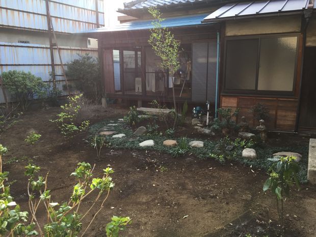光の当たる庭