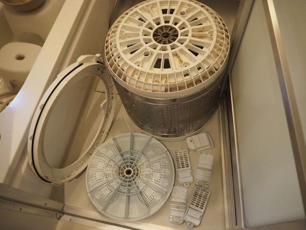 カビが生えた洗濯機の部品