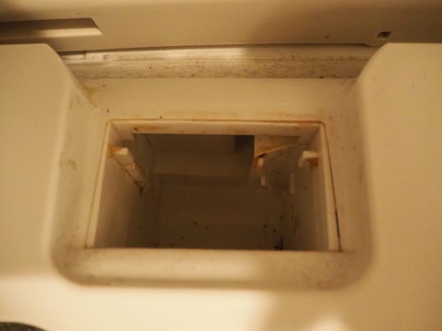 カビの生えた洗濯機