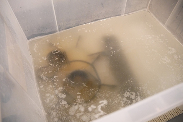 油汚れが浮いたお湯