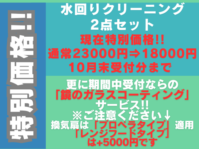 【自然由来の洗剤】特別価格◉23000円⇒18000円♫損害保険☆大手経験◉