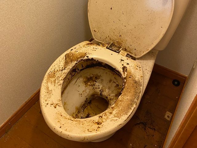 豊富な経験と知識で安心!仕上がり重視で丁寧に作業いたします!