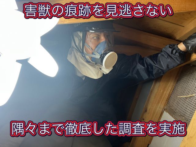 狩猟免許、防除作業監督者の有資格者の駆除専門家が対応します。ノミダニ対策も完備