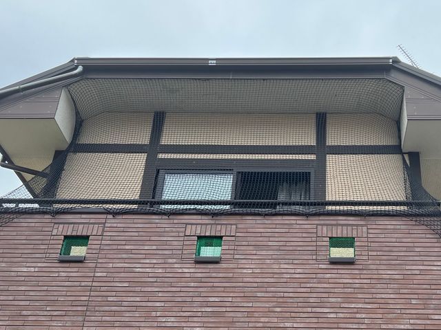 狩猟免許、防除作業監督者の有資格者の駆除専門家が対応します。ノミダニ対策も完備