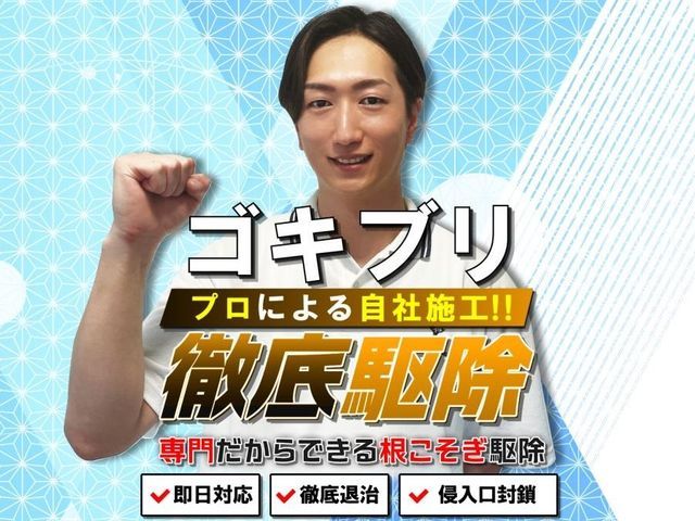 ◆店舗のゴキブリ駆除ならお任せください!繁殖したチャバネも徹底駆除!実績多数☆