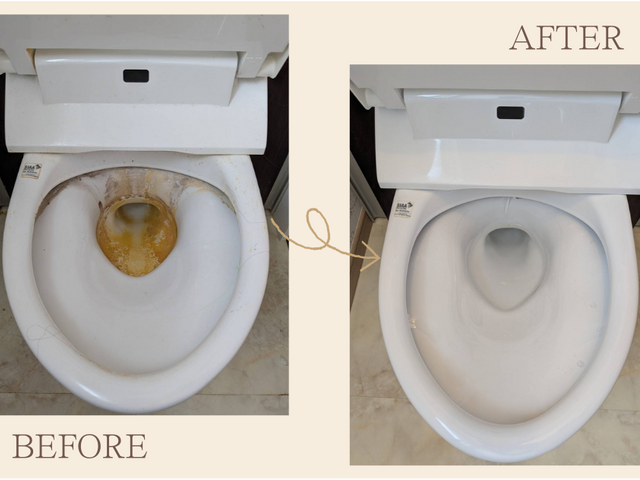 トイレクリーニングサービス