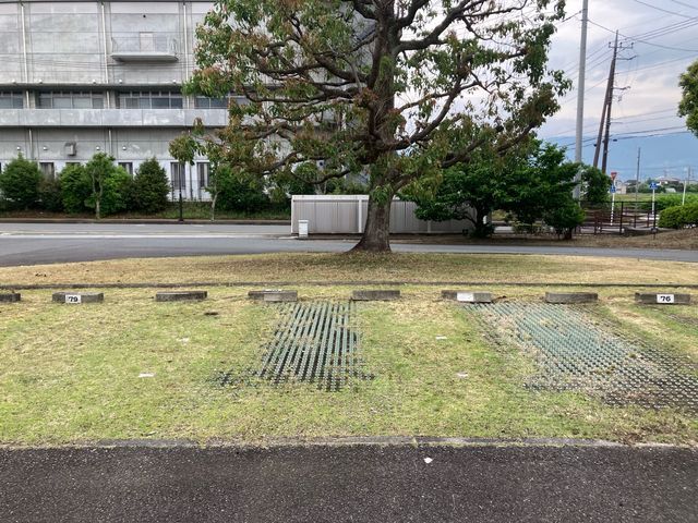 2000件以上の実績!緑地の健康と美しさを守る植物のプロ