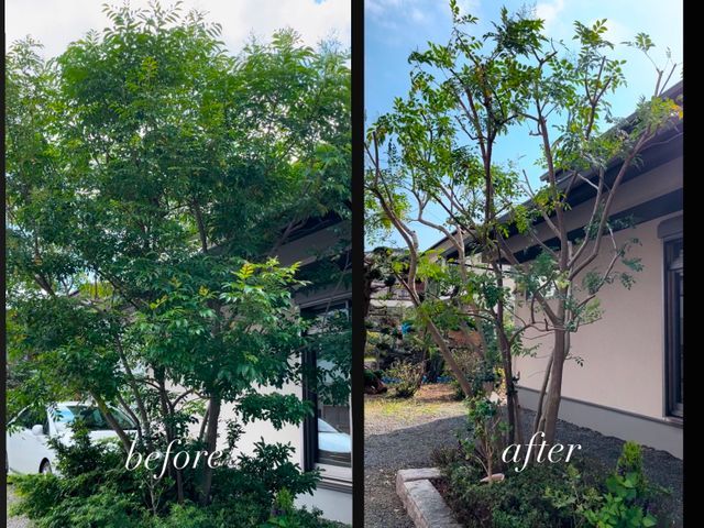 夫婦で植木屋を営んでおります!プロの知識でお庭を綺麗にします◆空き家管理も◎