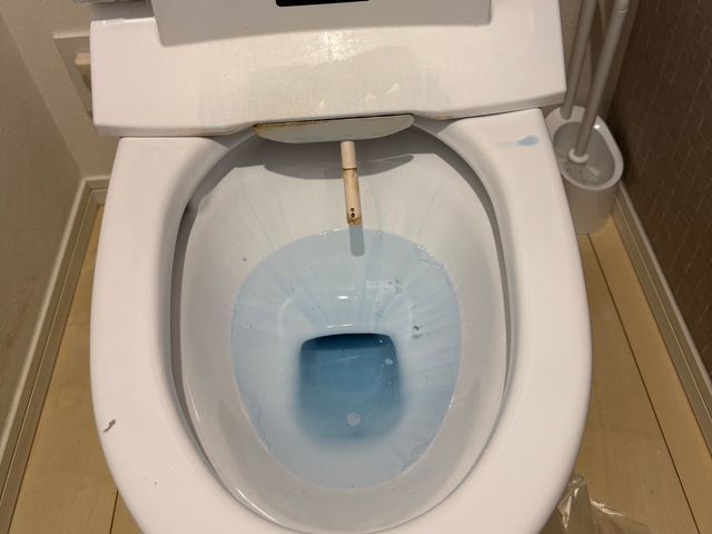 元プロキックボクサーの清掃!作業中のセキュリティー面はご安心下さいませ。