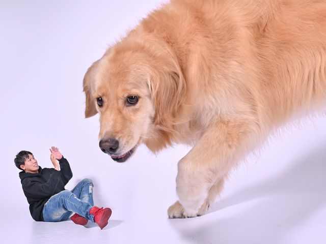 大きなペットと写真撮影!もちろん通常の撮影も!