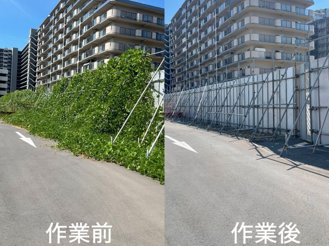 【2級造園施工管理技士】業歴7年◎自社スタッフが迅速丁寧に仕上げます。