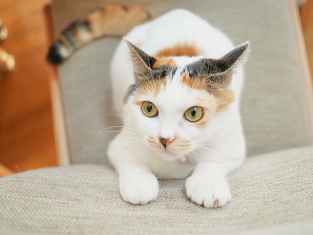 プロの技術でご満足いただけるように心を込めて撮影いたします