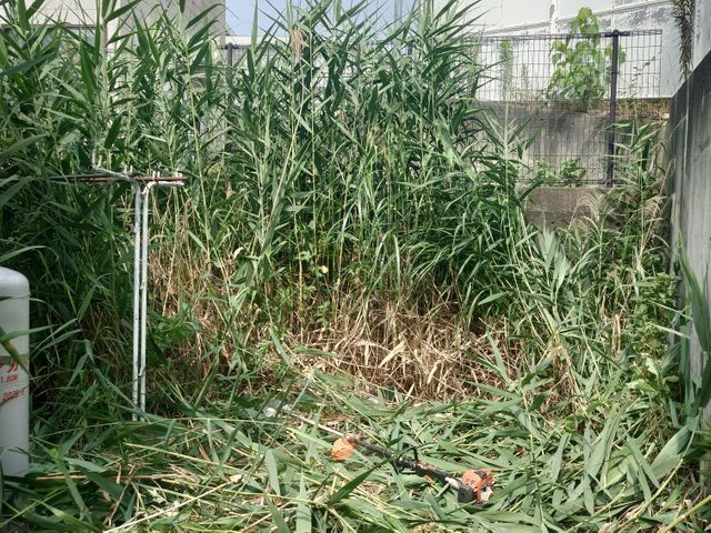 造園業務20年やっています!損害保険加入済み!営業時間外のご予約もご相談可能◎