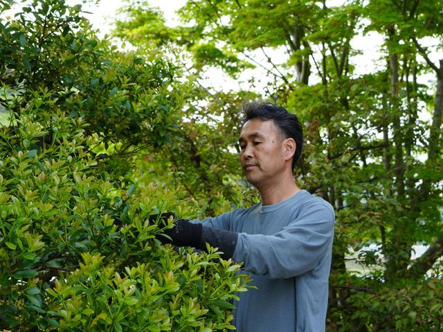 【30年以上の実績】営業時間外や対応地域外◉プロの技で美しい庭づくりをサポート!