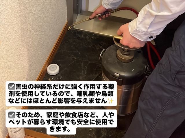 大手出身のプロが提供!1ヶ月保証付きで根本から解決するゴキブリ駆除