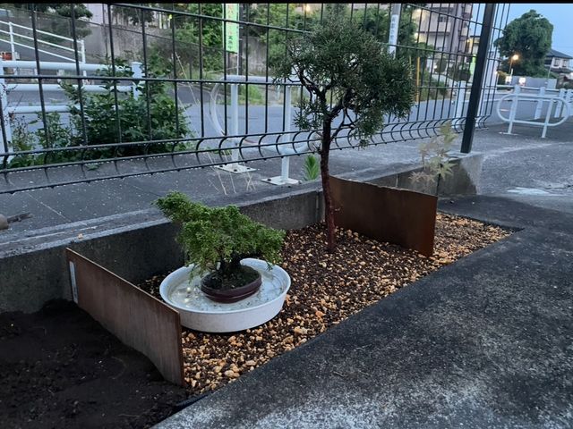 鉢の植え替え承ります!5鉢以上は割引致します!※9号鉢までは2鉢から受付